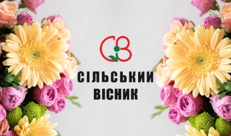 Пошукова оптимізація Інтернет магазину CIB